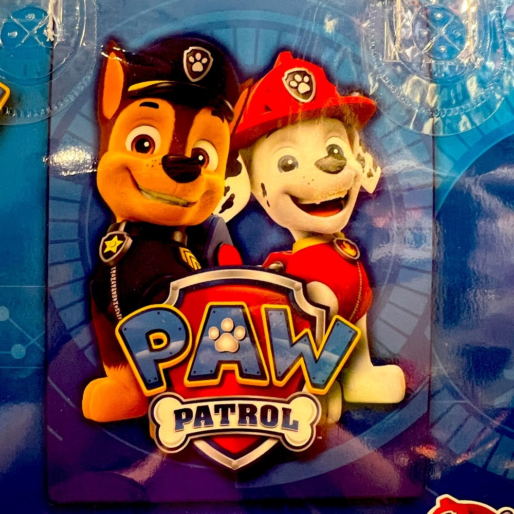 Paw Patrol Raschel Twin Size Blanket‎